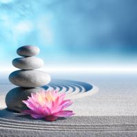 Some Zen Principles That Really Work