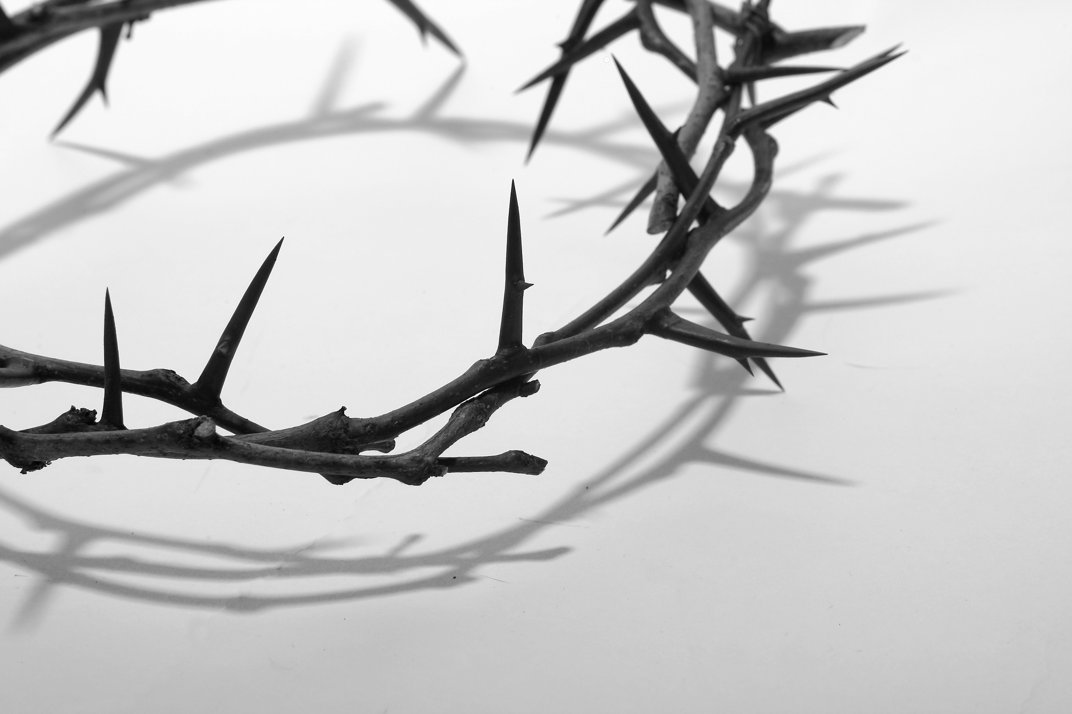 A crown of thorns representing Christian suffering