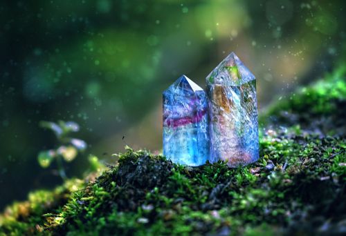 A crystal growing in the forest