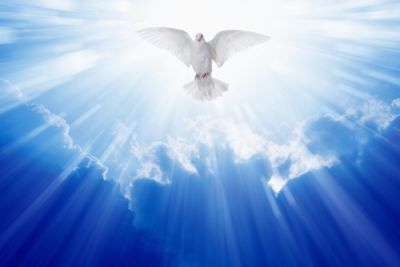 A dove flying from Heaven on Pentecost