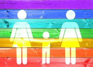 LGBTQ Adoptions Against Public Opinion of Anti-Discrimination 