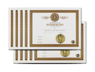 Handfasting Ceremony Certificate 10 Certificates