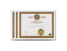Handfasting Ceremony Certificate 3 Certificates