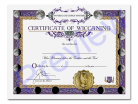 Wiccan Certificate Single Pack