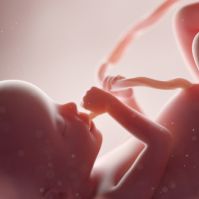 A Reflection on Abortion