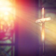 The Catholic Synod