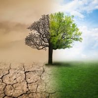 Catholics and Climate Change