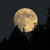 How To Perform a Full Moon Ceremony, New Moon Ceremony, and Blood Moon Ceremony