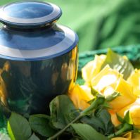Eco-Friendly Funeral Options Honoring Life and Nature