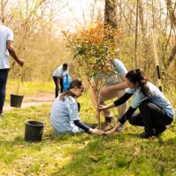 Environmental Stewardship in Modern Ministry: A Sacred Duty