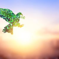 Exploring Ethics Without Religion