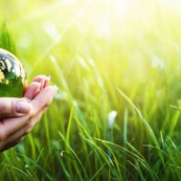 How To Become a Greener Church