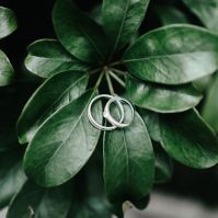 Eco-Friendly Wedding Ceremonies: Sustainable Practices for the Conscious Couple