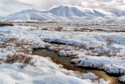 Arctic Wildlife Refuge