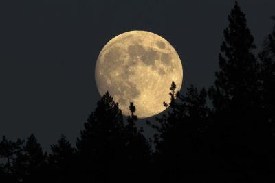 What is a full moon ceremony?