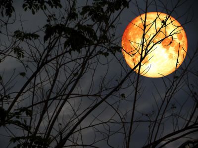 What is a blood moon ceremony?