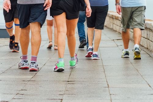 Group of People Walking