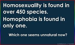 Ten Reasons Why Homophobia Makes No Sense (Part 1)