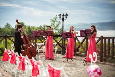 Musicians playing stringed instruments at a wedding reception