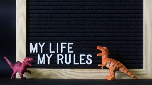 My Life, My Rules Graphic