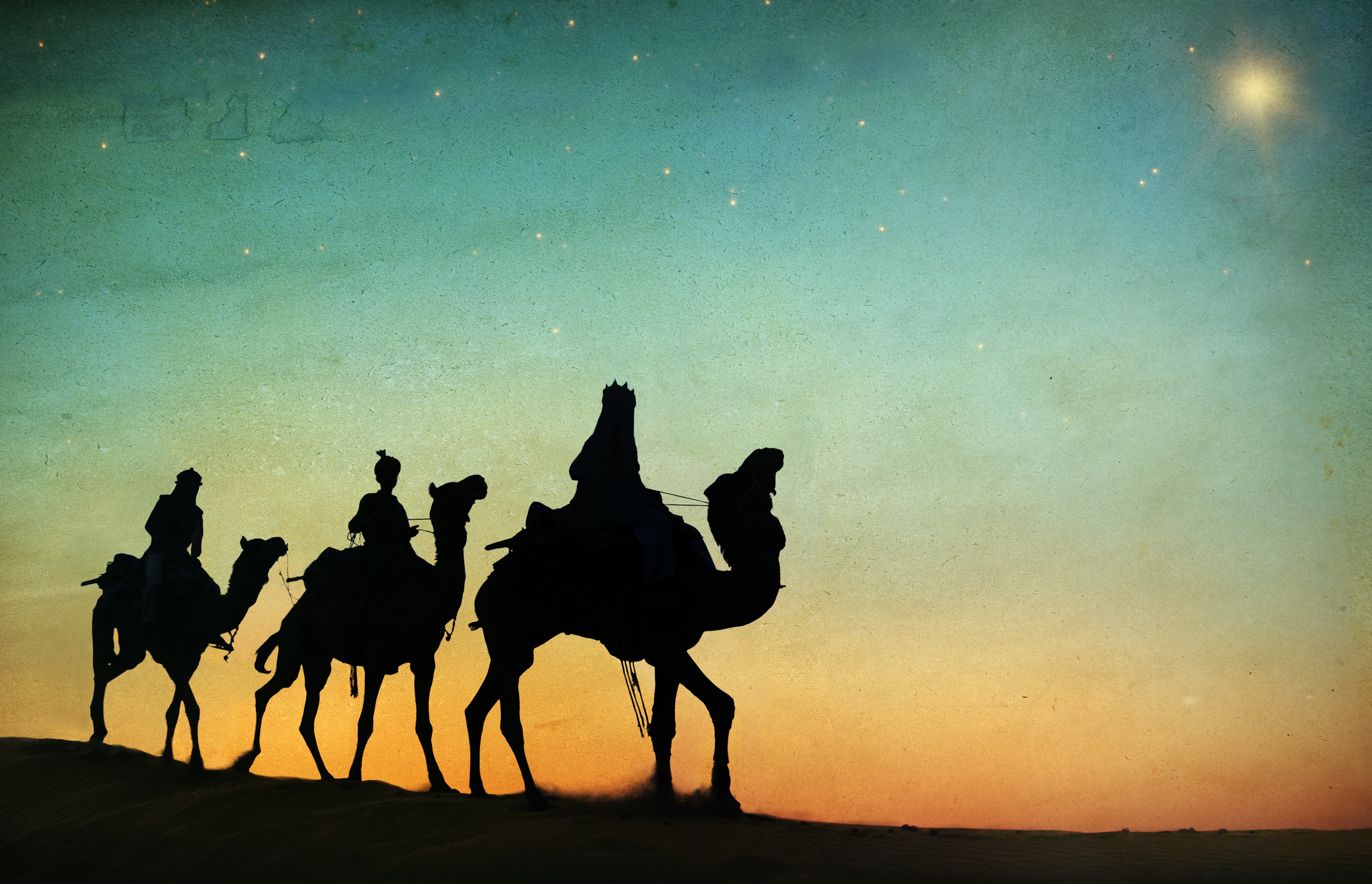 Group of People Riding Camel Isolated on Background