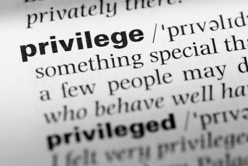 Privilege Definition