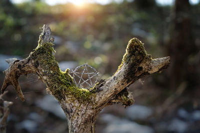 Wiccan pentacle in a natural woodland setting