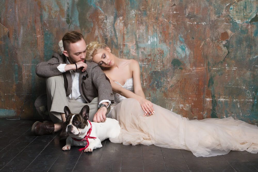 Sitting wedding couple with dog.