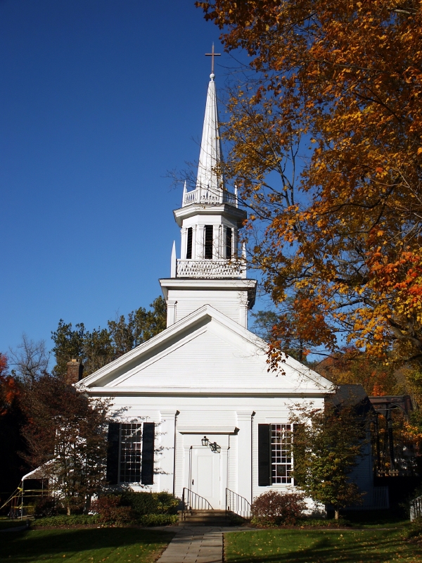 Presbyterian reform