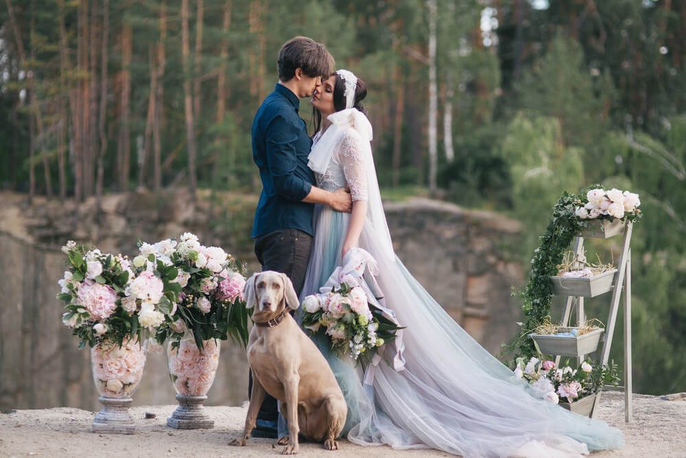 Dog next to wedding couple.