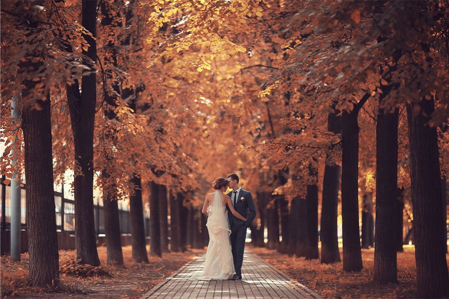 bride and groom between rows of autumn trees