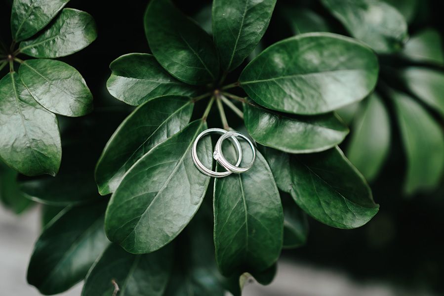 pair of eco-friendly wedding rings resting on plant leaf.