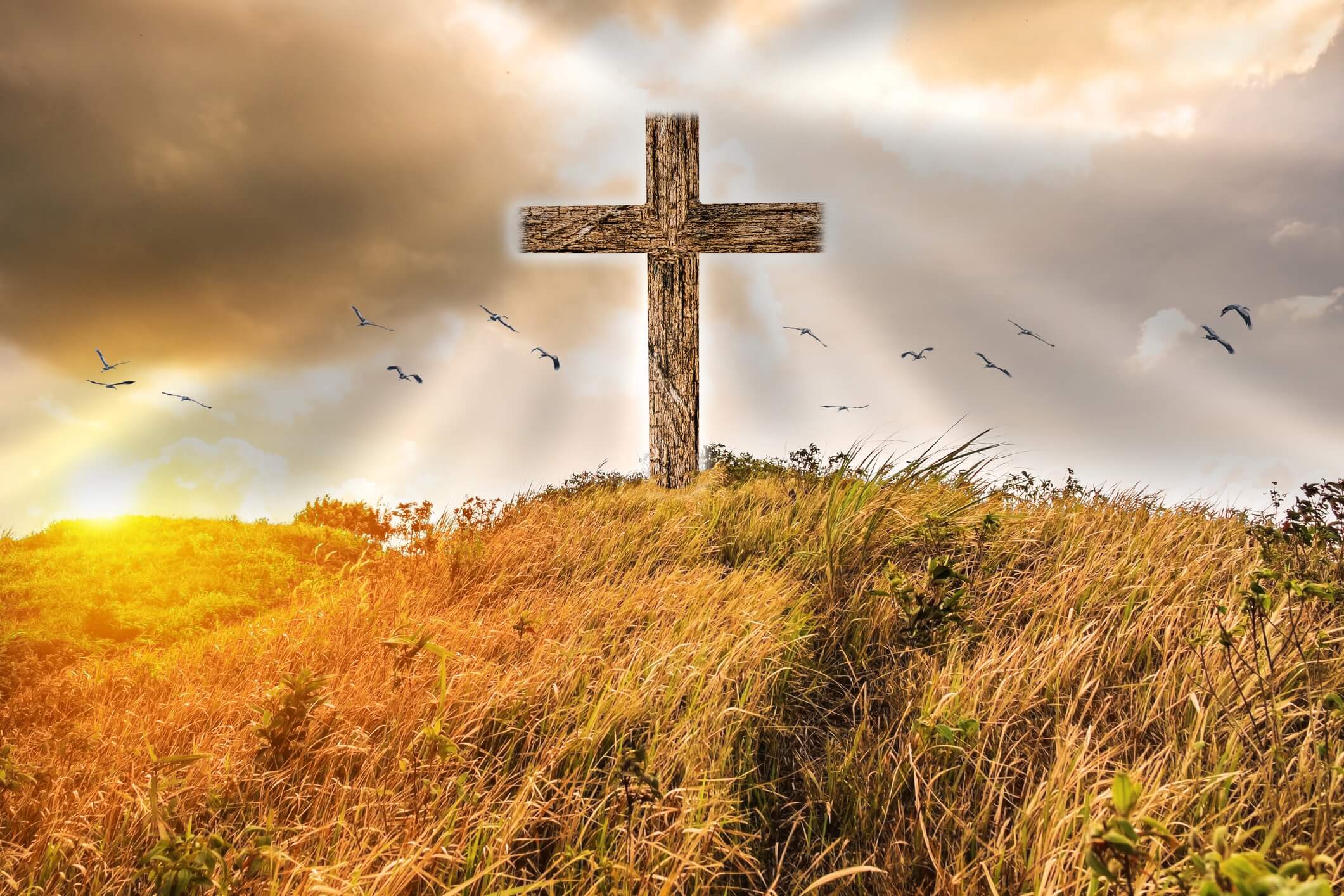 Cross on gold meadow mountain shining light