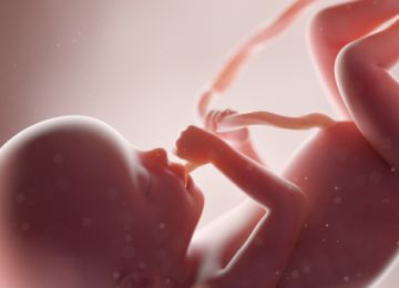 A Reflection on Abortion