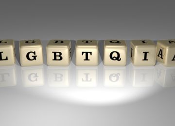 Beyond the L and the G: Gender and Sexuality Inclusion