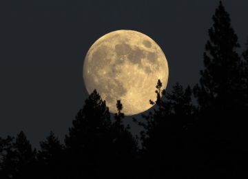 How To Perform a Full Moon Ceremony, New Moon Ceremony, and Blood Moon Ceremony