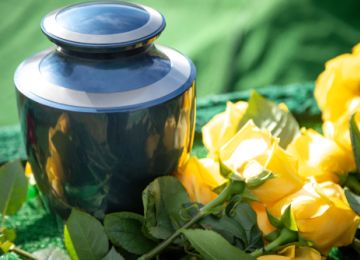 Eco-Friendly Funeral Options Honoring Life and Nature