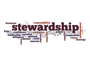 Understanding Stewardship