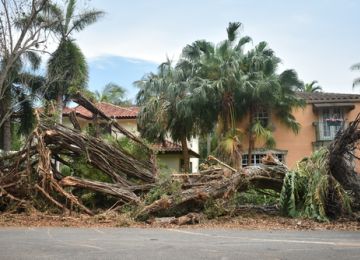 Meeting Needs After a Natural Disaster