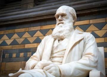 The Meeting of Science and Religion: A Look at History