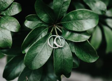 Eco-Friendly Wedding Ceremonies: Sustainable Practices for the Conscious Couple