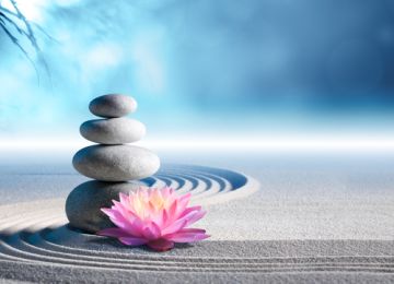 Some Zen Principles That Really Work
