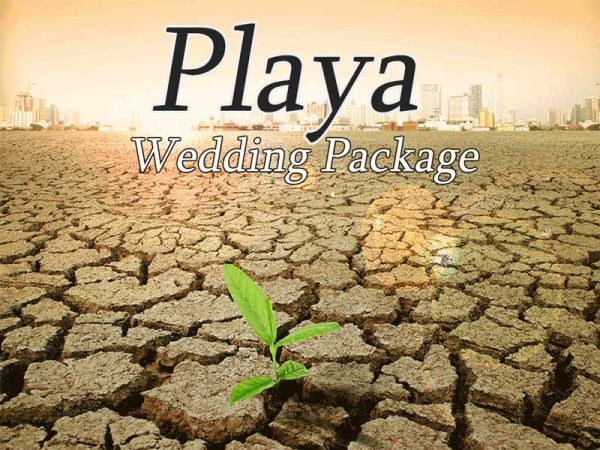 Playa Wedding Kit