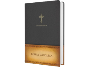 Spanish Holy Bible