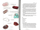 Crystal, Gem & Metal Magic page