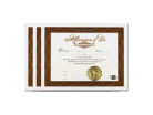 Love Affirmation Certificate 3 Certificates