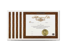 Love Affirmation Certificate 5 Certificates