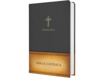 Spanish Holy Bible