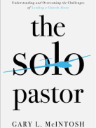 The Solo Pastor