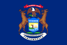 State Flag Of Michigan